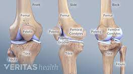The anatomy of the knee. Understanding Knee Hyperextension