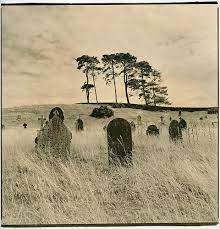 Curragh Graveyard Co Kildare Ireland Lith Print Lith Digital Painting Celtic Symbols