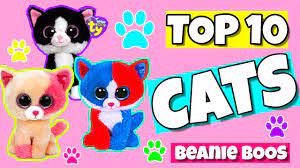 Top 10 Beanie Boo Cats Youtube