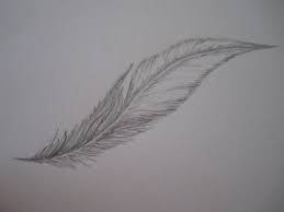 More images for how to draw a feather » Wanna Draw A Feather How To Draw A Feather Drawing Drawing On Cut Out Keep