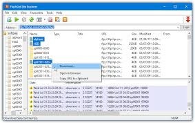 Internet download manager, shortly known as idm is probably the most popular among paid download manager tools available today for windows. 10 Free Ways To Download All Files From A Folder On A Website Or Ftp Raymond Cc
