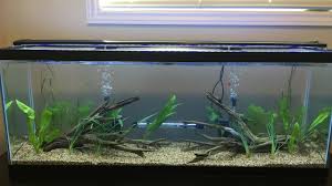 This 50 gallon fish tank is certified safe for freshwater fish as well as saltwater fish and is constructed of a clear acrylic material that is clearer than glass, 17 times stronger, and. 50 Gallon Planted Aquarium Setup Youtube