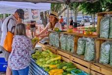 Bee Cave Farmers Market