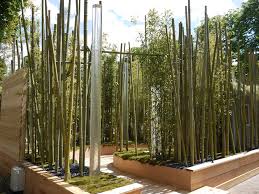 Remaniement Ou Comment Recycler En Ajoutant Seulement Les Cannes De Bambous Ln2b Arrosage Et Bernard Bois Ont Reussi Le Deco Jardin Jardins Accessoire Jardin