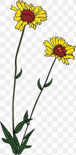 Plant face portrait effect photoshop tutorial. Dandelion Yellow Images Dandelion Yellow Transparent Png Free Download