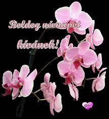 Check spelling or type a new query. Koszonto Koszonto Koszonto Koszonto Koszonto Koszonto Nevnapi Koszonto Koszonto Koszonto Koszonto Lovaszmarika B Name Day Happy Birthday Greetings