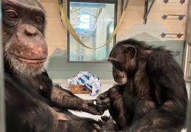 Happy Birthday, Kelley!