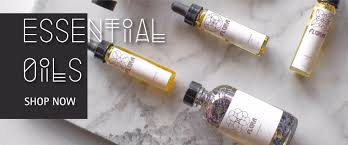 Find out all you need to know in our no holds barred guide! Essential Oil Bottles Wholesale And Bulk Bottlestore Com
