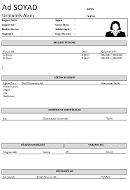 Transkript Cv Basit