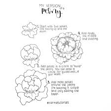 Carina On Instagram I Ve Had A Lot Of Questions About How I Draw My Versions Of Flowers And The Peony Seems To Be The Flower Your The Most Curious About This