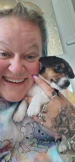 What are some tips for new Jack Russell puppy owners?