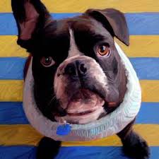 Frenchie Beau Canvas Print