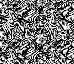 Black And White Paisley Print Fabric Colorful Fabrics Digitally Printed By Spoonflower Palm Leaves Tropical Black White Tropical Design Palm Leaves Spoonflower