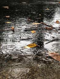 Not to be confused with: Golocalprov New Weather Service Calls For 80 Chance Of Rain Not Snow Thursday