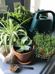 Indoor plants are a simple way to add a pop of color or boost your mood in any room. Houseplant Fertilizer Basics How And When To Feed Houseplants