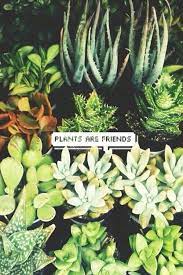 Please, please do not poach plants. Add A Caption Image 2990295 On Favim Com