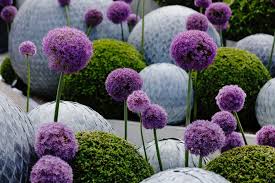 Key Facts About The Rhs Chelsea Flower Show Rhs Gardening