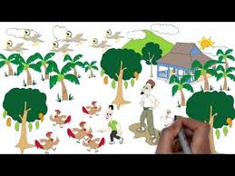 Adegan di siang hari itu menggambarkan seorang pria beradegan asusila dengan pasangannya. Kurikulum 2013 Sd Kelas 1 Kegiatan Pagi Hari Youtube