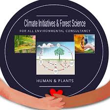 Image result for Isoberlinia angolensis