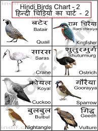 Pin By Madhumitha On Learning Languages Hindi Language