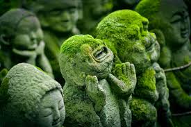 Buddhistische lebensweisheiten für ein achtsameres leben. Buddha Jesusschule