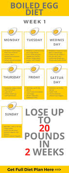 boiled egg diet plan lose weight stuff pinterest