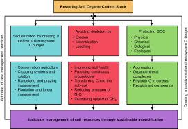 The major soil formation factors are: Digging Deeper A Holistic Perspective Of Factors Affecting Soil Organic Carbon Sequestration In Agroecosystems Lal 2018 Global Change Biology Wiley Online Library