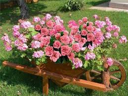 Fleurs Et Leur Rangement Fleurs Jardin Paysager Brouettes