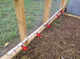 Rent a coop chicken waterer. Mad Lab 5 Automatic Chicken Watering Cup System