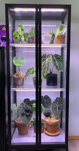 Ikea Greenhouse Home And Aplliances