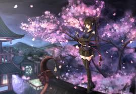 Mio is similar to the school idol trope that sometimes comes with black hair and girls in anime. Anime Girl Woman Warrior Sakura Blossom Long Hair Black Hair Wallpaper Resolution 1920x1337 Id 727889 Wallha Com