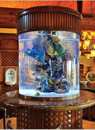 Pin By San Diego Home Garden Lifestyl On Interior Home Inspo Aquarium Fish Tank Tropical Fish Tanks Fish Tank