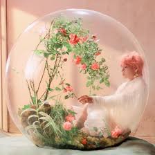 Love Yourself 結 Answer Concept Photo E Version V Taehyung アイネクライネ てひょん テヒョン