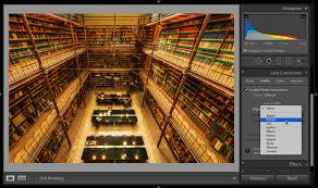 In the last week i suddenly can't import cr2 files (only change on my side, i installed more memory on my pc for better performance). What To Do When Lightroom Can T Find Your Lens Profile Lightroom Killer Tips
