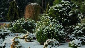 Combating the cold weather is always going to bethe main challenge but this is. 21 Beautiful Winter Gardens With Snow Capped Plants And Smart Layout Design