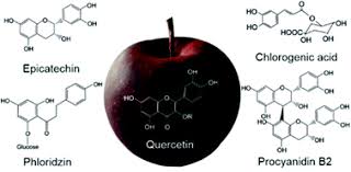 Check spelling or type a new query. Phenolic Composition Of 91 Australian Apple Varieties Towards Understanding Their Health Attributes Food Function Rsc Publishing