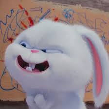 Snowball Di 2020 Gambar Kelinci Kartun Anak Binatang