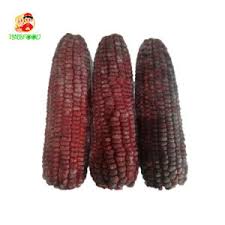 Americanlisted features safe and local classifieds for everything you need! Savor High Grade Cracked Corn In Delectable Cuisines Alibaba Com
