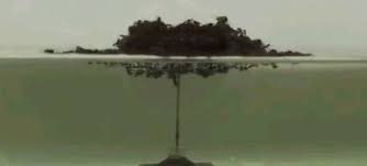 Image result for pictures of ants building an ant raft on a river