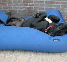It even has a detachable blanket. Dog Bed Cobalt Blue Coating Small Dog Beds By Dog S Companion