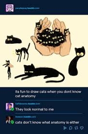 Then before you know it, you are given a bunch of random pills Tumblr On Twitter Cat Owners Please Confirm Https T Co Bgp4uflwmv