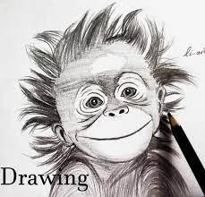 Drawing Cute Baby Monkey Peakd
