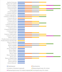 Image result for Rourea orientalis