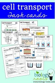 Cell Transport Task Cards Or Stations For Your Life Science Or Biology Class 31 Editable Task Cards Makes A G Cell Transport Biology Lessons Biology Classroom