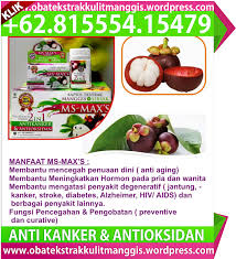 Mastin hadir, dan rawat tubuh kita. 081 5554 15479 Ibu Krisna Kulit Manggis Obat Vitiligo Kulit Manggis Untuk Obat Vertigo Obat Ekstrak Kulit Manggis Obat Ekstrak Kulit Manggis Dan Daun Sirsak