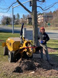 We did not find results for: Accurate Tree Service Llc Home Facebook