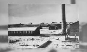 In duitsland verrezen de eerste concentratiekampen in 1933, zeer kort na de 'machtsovername' van de nazi's. Jeugdbieb