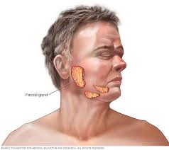 While most spinal pain is located in the lower back or neck, pain from a spinal tumor is more likely to be felt in the upper or middle back. Parotid Tumors Overview Mayo Clinic