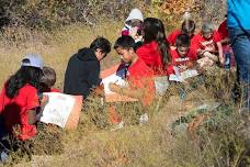 Nature Journaling at McCloud