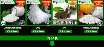 15 5 5 Yellow Npk Compound Fertilizer 10 5 20 Buy Npk Yellow Fertilizer Npk 10 5 20 Fertilizer 15 5 5 Npk Compound Fertilizer Product On Alibaba Com